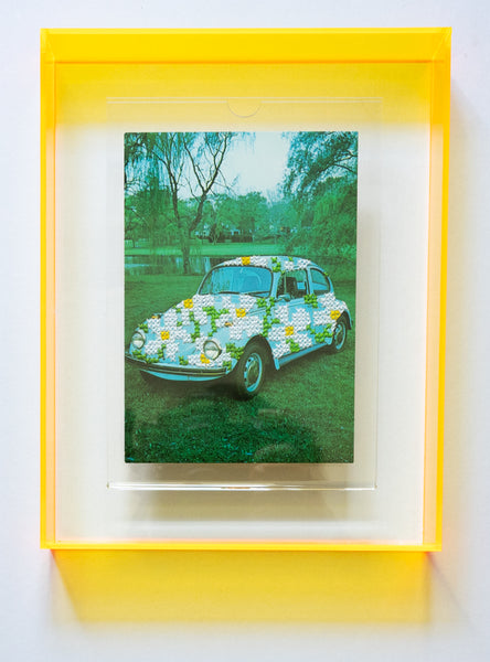 Love Bug: Daisy Blue