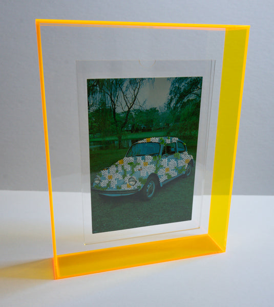 Love Bug: Daisy Blue