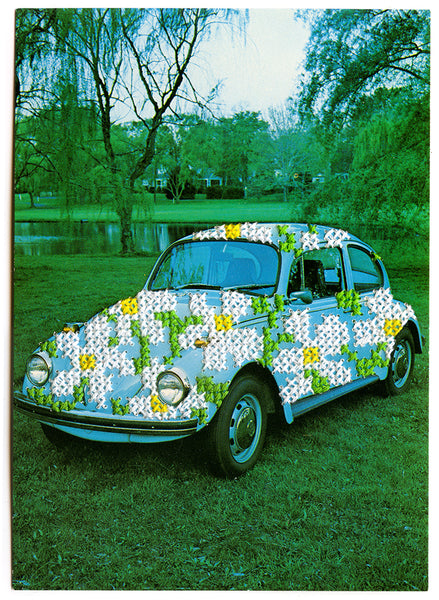 Love Bug: Daisy Blue