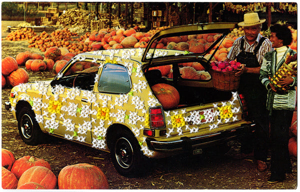 Cool Whip: Honda Civic