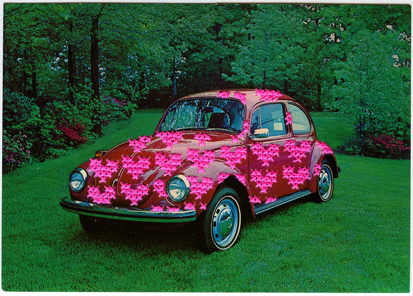 Love Bug: Some Like it Hot (Pink)