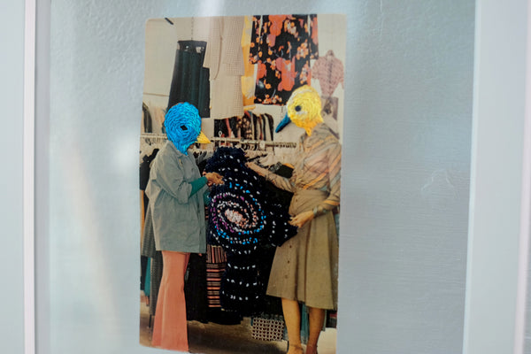 Birds of a feather shop together