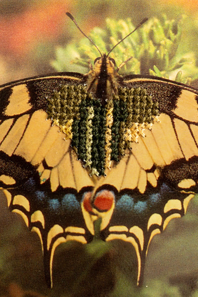 Love Bug: Butterfly Heart