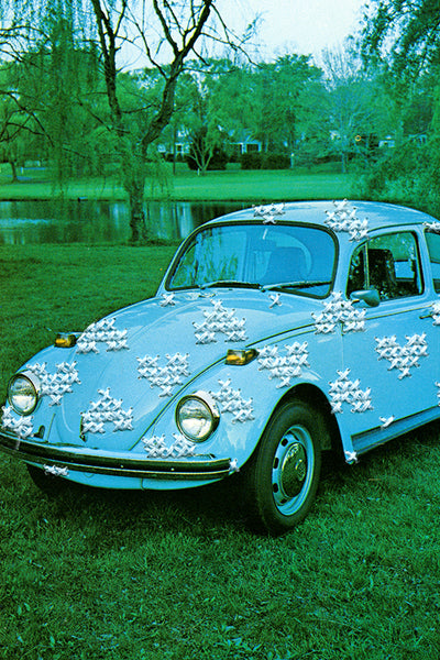 Love Bug: Baby Blue β han cao