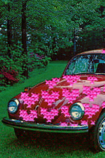 Love Bug: Some Like it Hot (Pink)