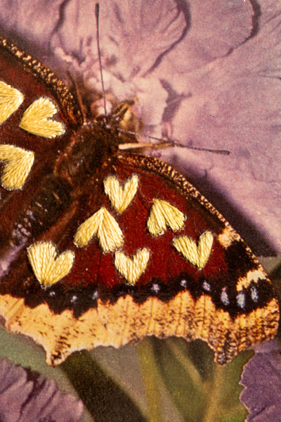 Love Bug: Golden Love