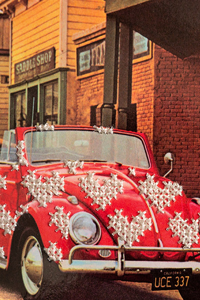 Love Bug: Love on the Frontier