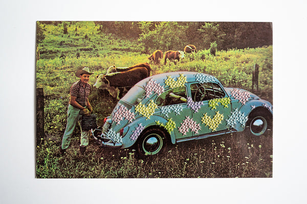 Love Bug: Pastel