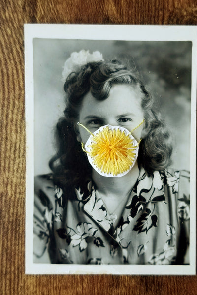 Quarantine Collection - Pt. 10, Dandelion