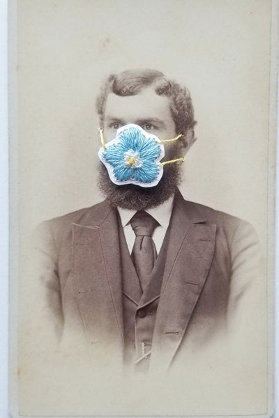 Quarantine Collection - Pt. 24,  Bearded blues