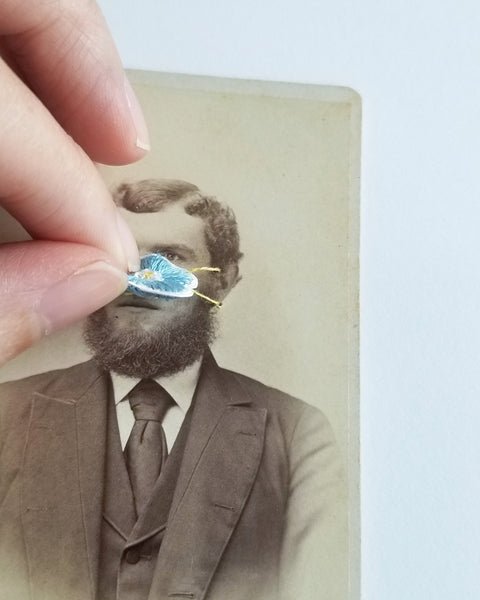 Quarantine Collection - Pt. 24,  Bearded blues