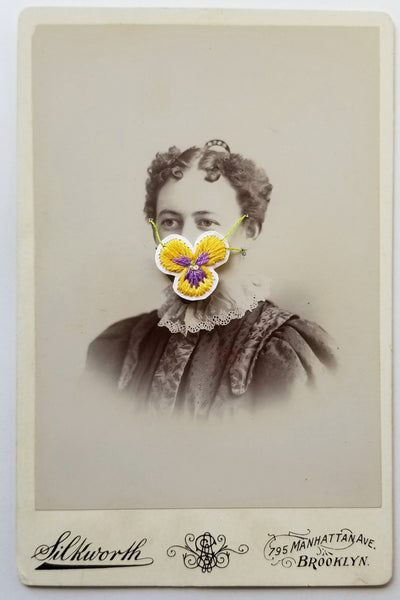 Quarantine Collection - Pt. 28,  Golden Pansy