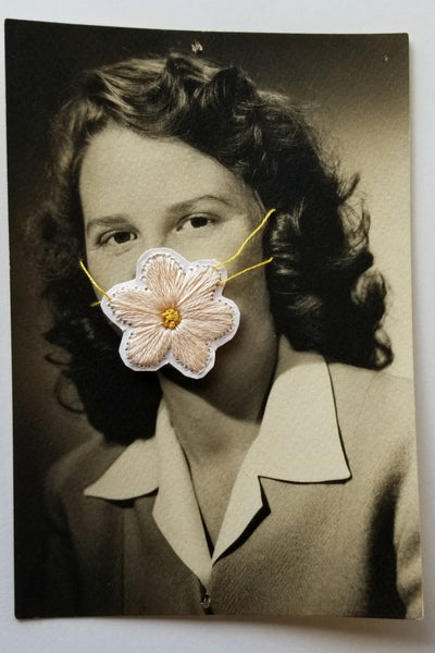 Quarantine Collection - Pt. 31,  Daisy