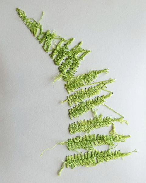 Botanical cyanotype series - Fern, in green and white