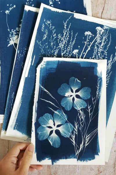 Surprise cyanotypes