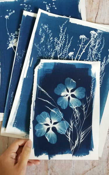 Surprise cyanotypes