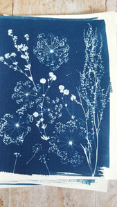 Surprise cyanotypes
