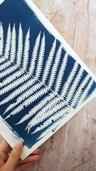Surprise cyanotypes