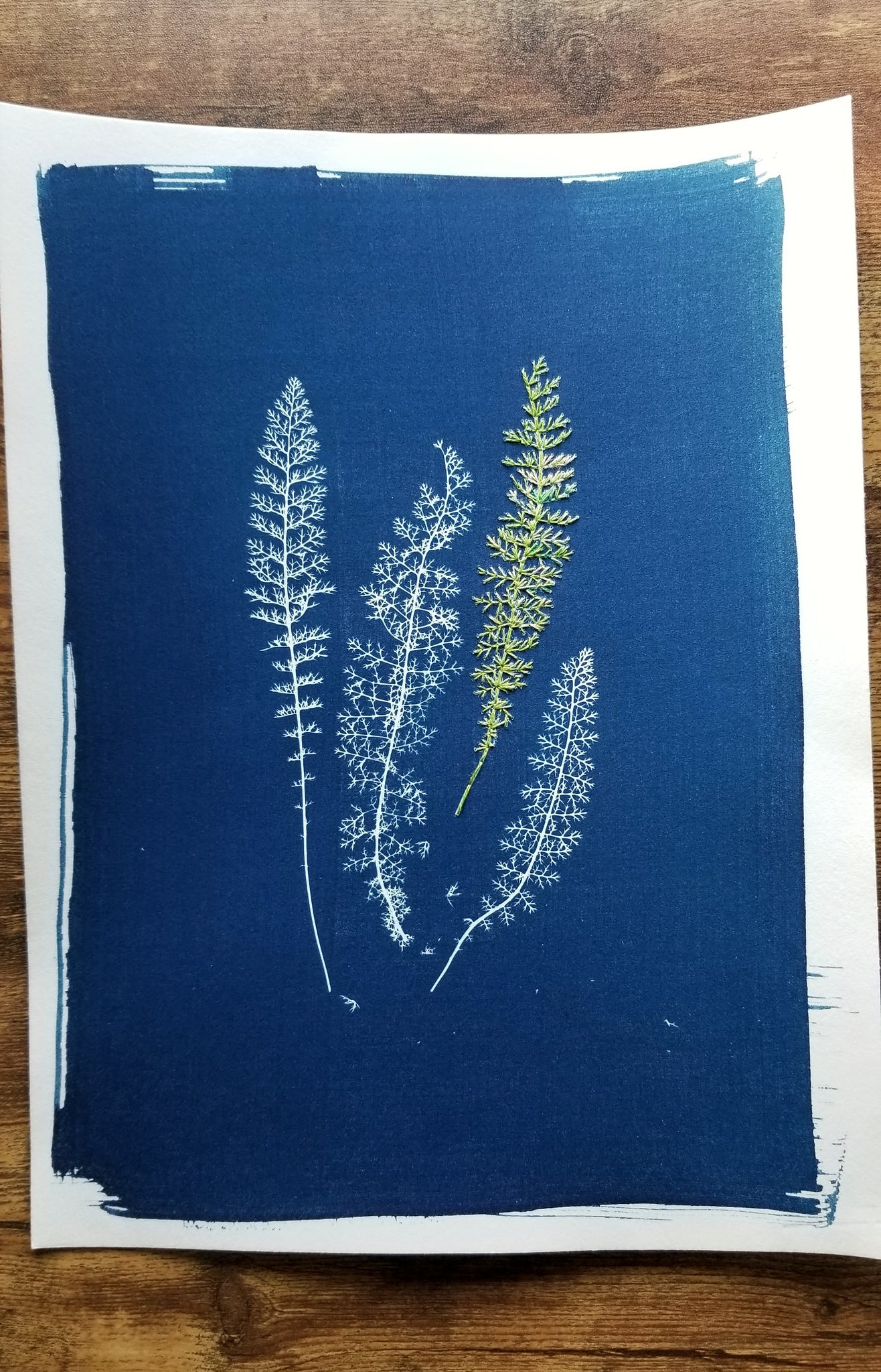 Stitched cyanotype study II
