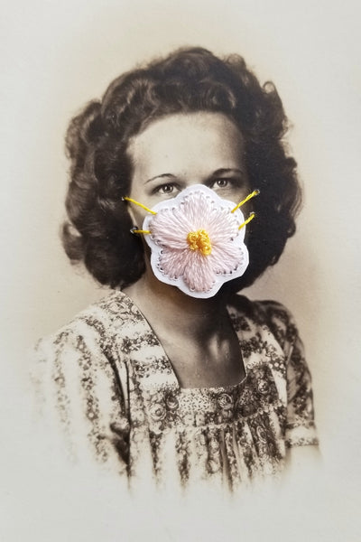 Quarantine Collection - Pt. 36, Daisy