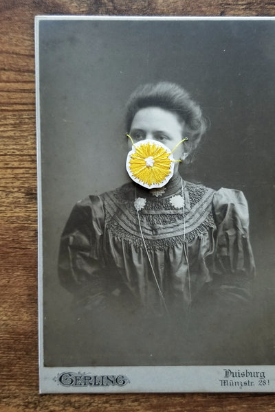 Quarantine Collection - Pt. 42, Dandelion