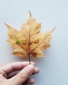 Stitched leaf series - Pt.7