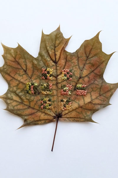Stitched leaf series - Pt.1