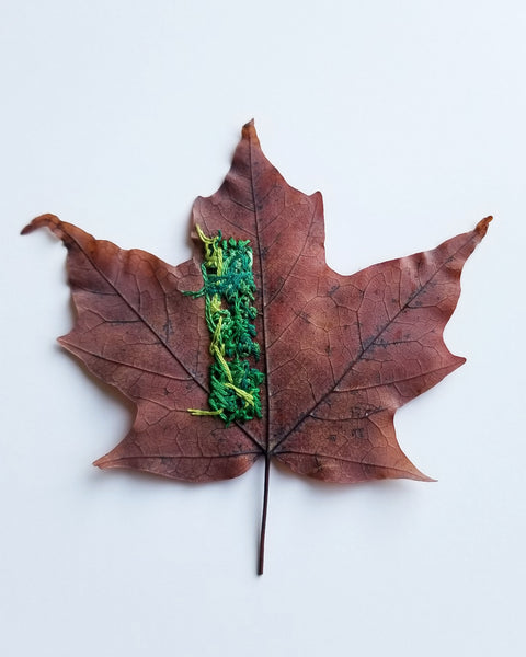 Stitched leaf series - Pt.6