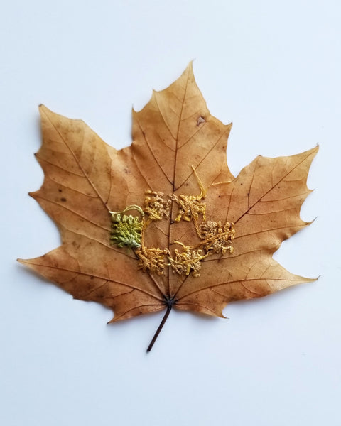 Stitched leaf series - Pt.5