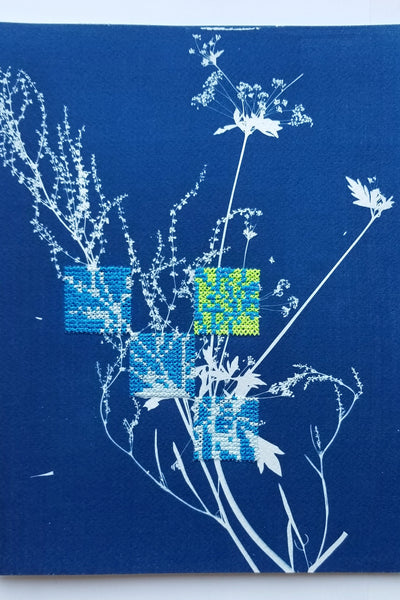 Botanical cyanotype series - Study in blue and neon