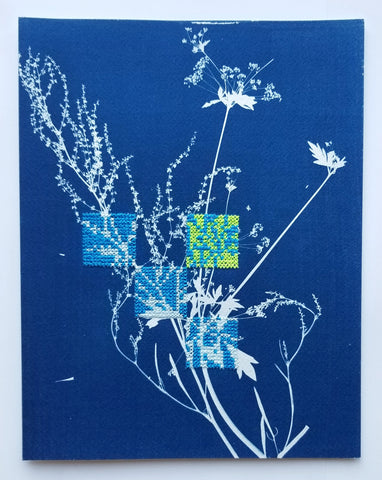 Botanical cyanotype series - Study in blue and neon