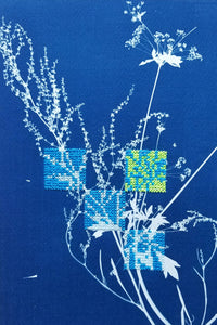 Botanical cyanotype series - Study in blue and neon