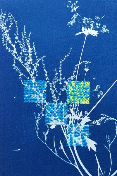 Botanical cyanotype series - Study in blue and neon