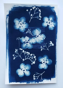 Botanical Cyanotype series - Gentle petals