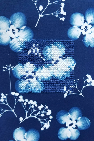 Botanical Cyanotype series - Gentle petals
