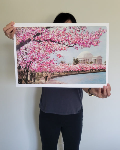 Amidst the cherry blossoms (13"x19" open edition print)