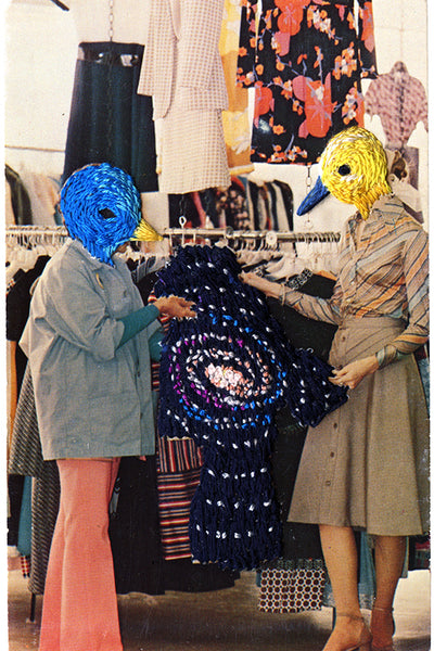 Birds of a feather shop together