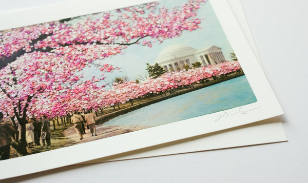 Amidst the cherry blossoms - dual-sided art print, open edition