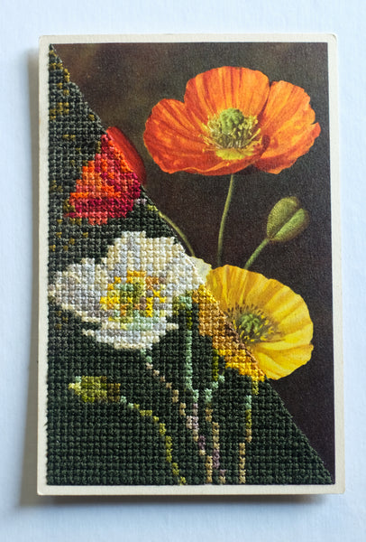 Still life, with poppies