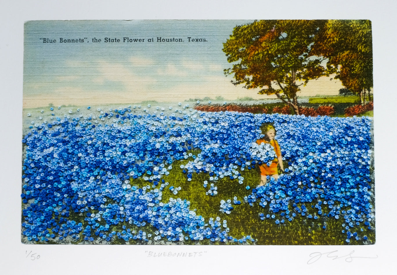 Bluebonnets - limited edition embellished art print