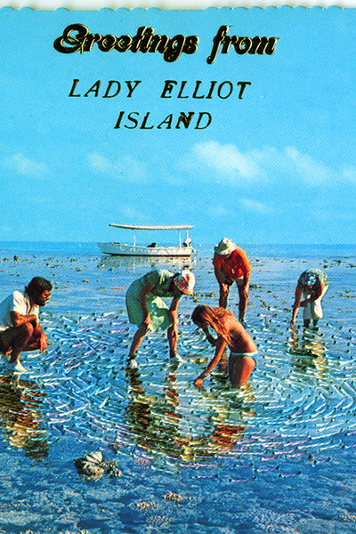 Searching for ourselves