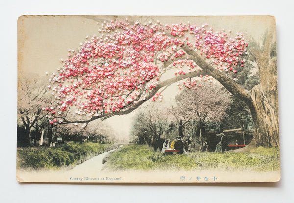 Hanami