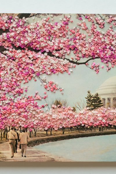 Amidst the cherry blossoms