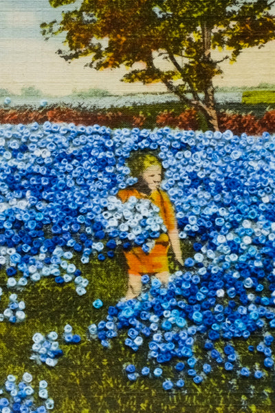 Bluebonnets - open edition art print