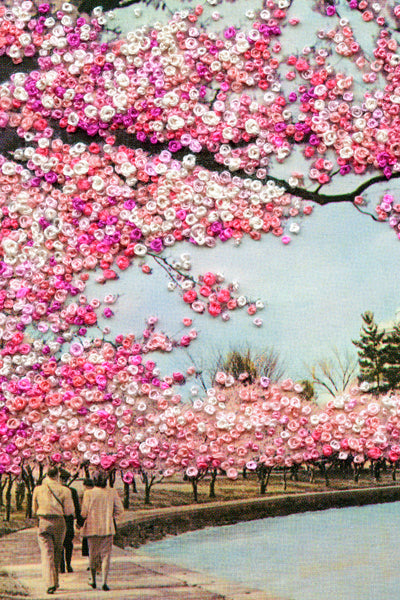 Amidst the cherry blossoms - dual-sided art print, open edition
