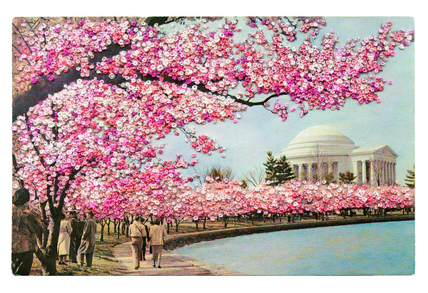 Amidst the cherry blossoms (13"x19" open edition print)
