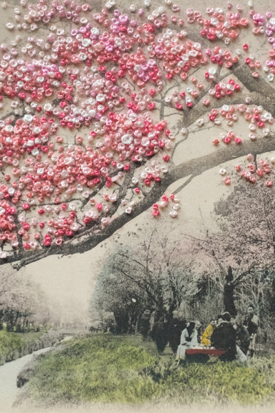Hanami