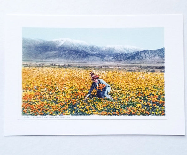 "Picking California poppies" - dual-sided art print, open edition