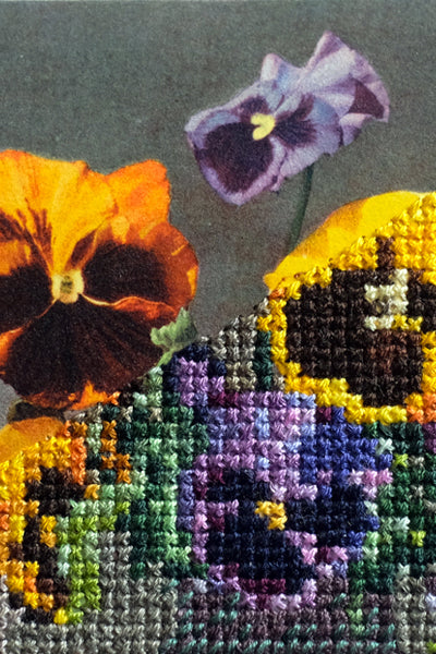 Still life, with pansies