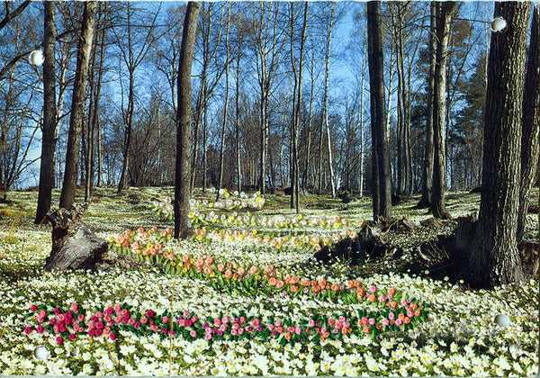 The secret path